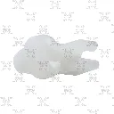 IMG_6081-1.webp